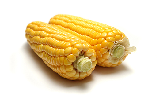 Sütlü Mısır Kullanımı ve Faydaları Nelerdir?